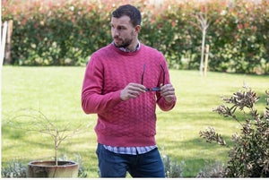 Peter Gribby Premium Combed Cotton Crew Neck Jumper