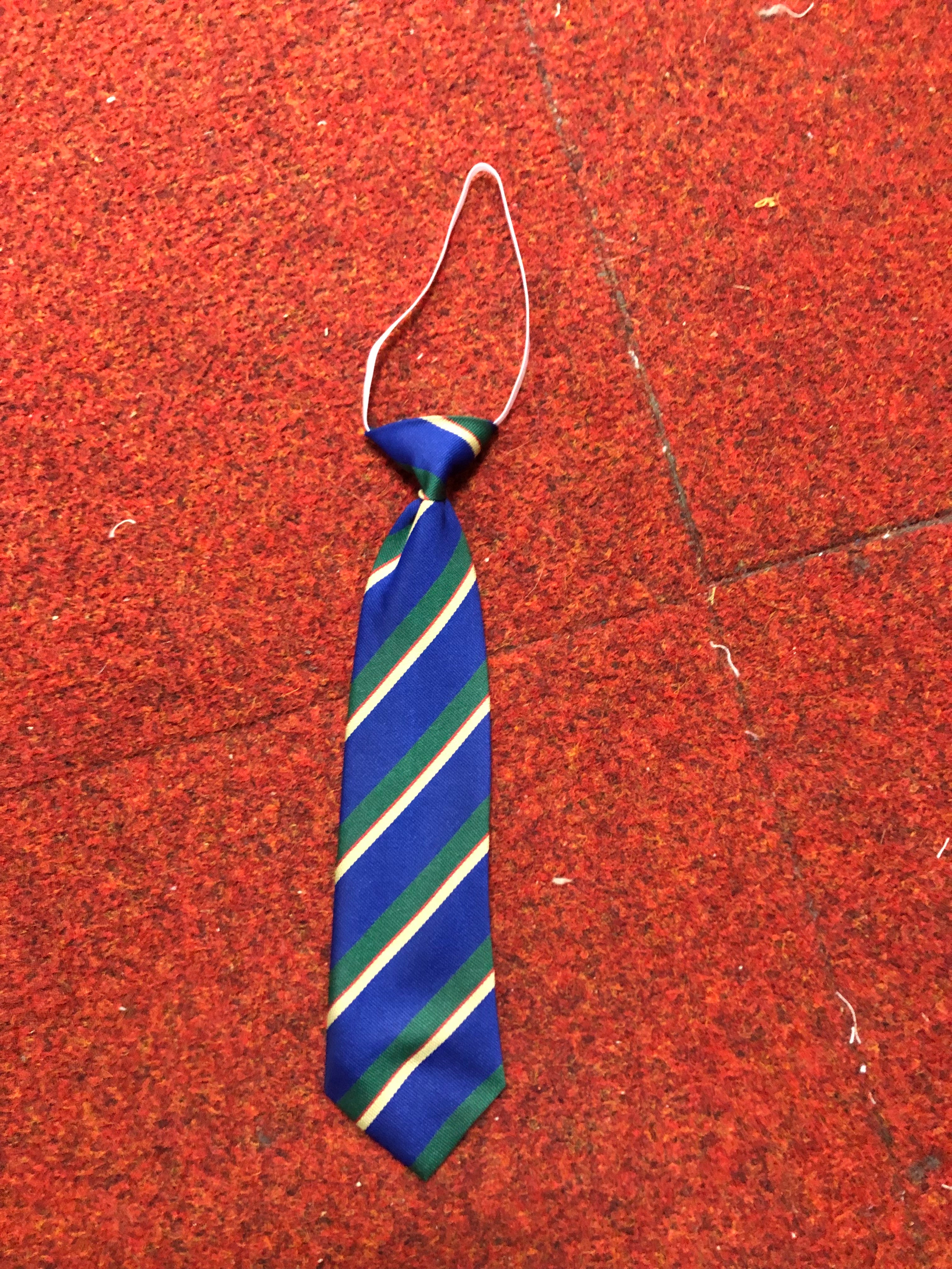 Knightswood Primary School Tie