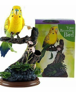 Talk Back Voice Recording Parrot Bird - Novelty Gift