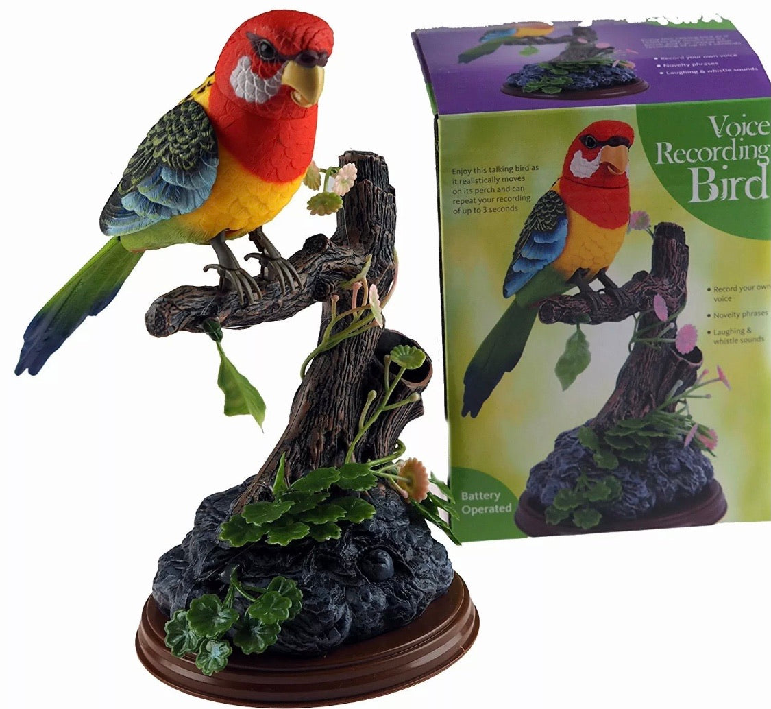 Talk Back Voice Recording Parrot Bird Novelty Gift – Mayors